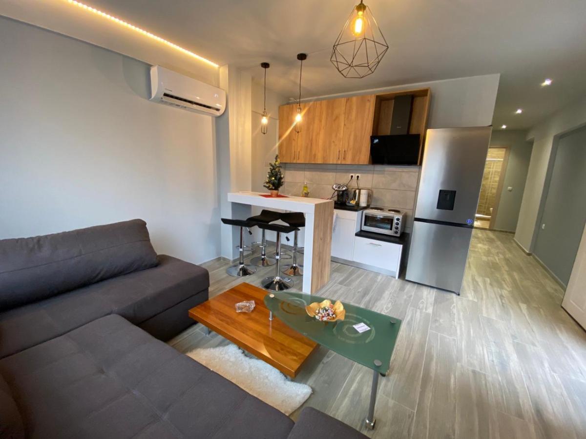 Alexandras Cozy Apartment Ioannina Bagian luar foto